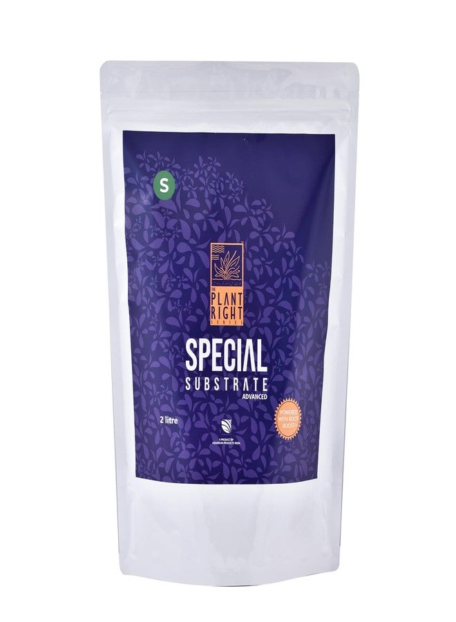 ركيزة خاصة من سلسلة "ذا بلانت رايت" | نباتات مائية نابضة بالحياة | الحل الأمثل لعشاق تنسيق أحواض السمك (2 لتر - صغير) - Image 1